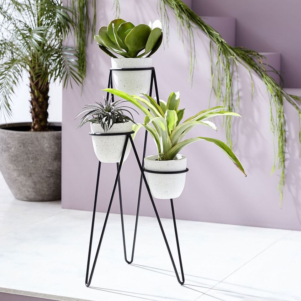  Iris  Planter  Chevron Stand Triple west elm United 